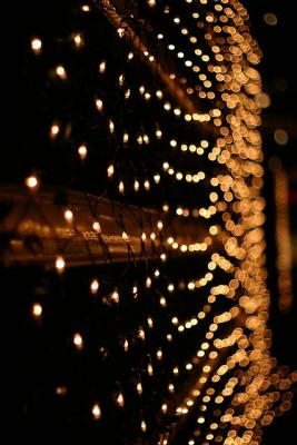Yokohama Nights