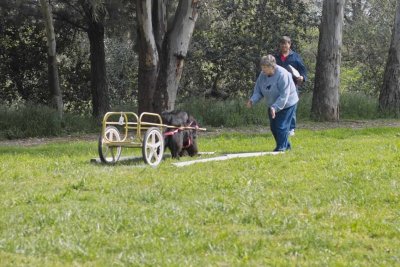 IMG17195.jpg
