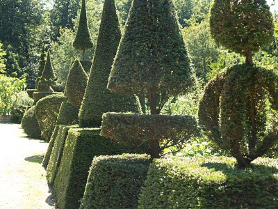 Tree sculptures