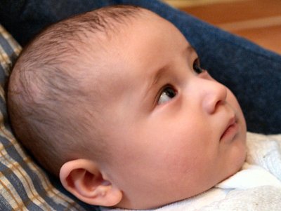 Looking intently