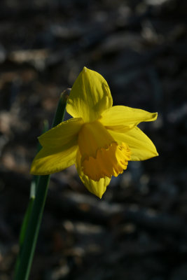 g3/36/495936/3/122800528.7F6J1zgM.jpg