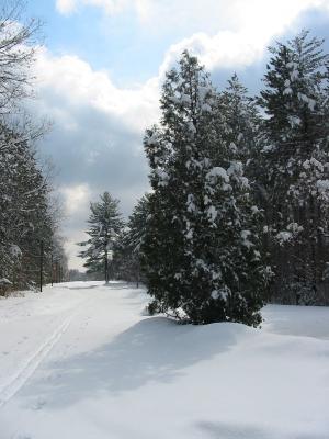 Fresh Snow at Wachusett Reservoir