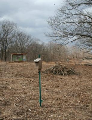 Bluebird Box and Brush Pile