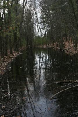 Oxbow NWR
