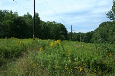 Powerlines Habitat Restoration '06