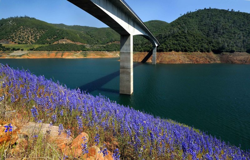 D3A_5949Tuolumne1Crop.jpg