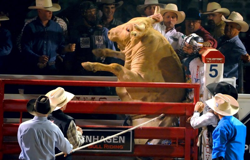 D3A_6313ClovisRodeo1.jpg