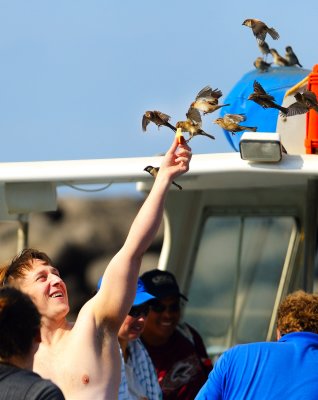 g3/36/508836/3/120512870.Echs6OQ1.jpg