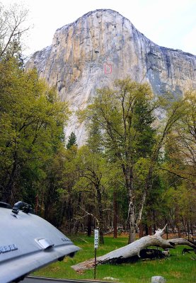 D3D_5158YosemiteElCap1Circled.jpg