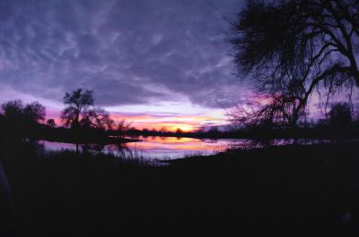 g3/36/508836/3/55421705.D2H_5676Sunset168aa.jpg