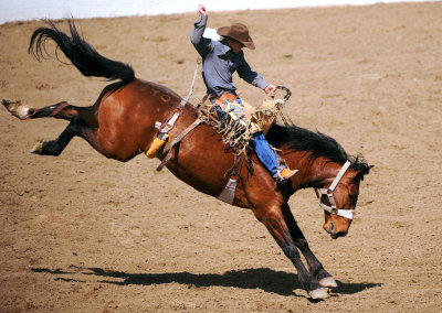 D3A_6739ClovisRodeo1.jpg