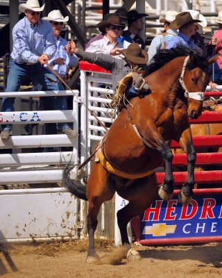 D3A_6736ClovisRodeo1Crop.jpg