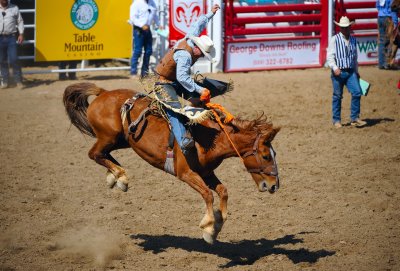 D3A_6763ClovisRodeo1.jpg