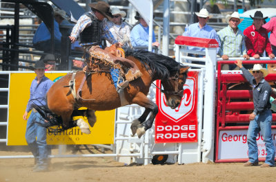 D3A_6728ClovisRodeo1Crop.jpg