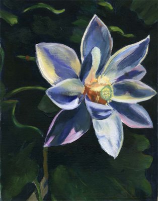 Blue Flower - Dorothy Long