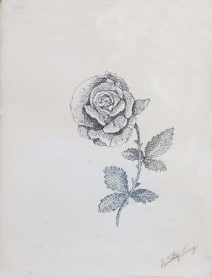 Flower Drawing - Dorothy Long