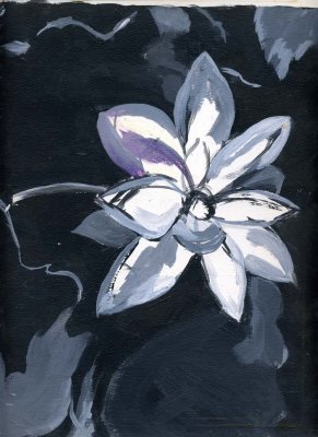 White and Purple flower - Dorothy Long