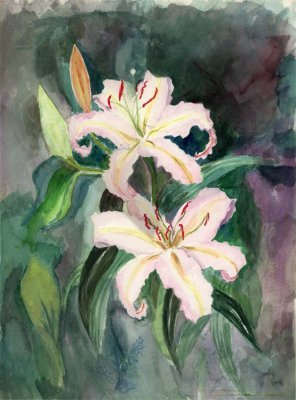 White Flower - Dorothy Long