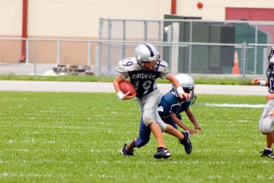 IMGP0879.jpg