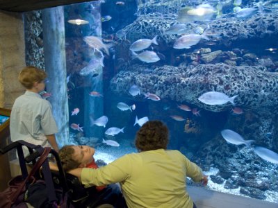 At the Atlanta Aquarium