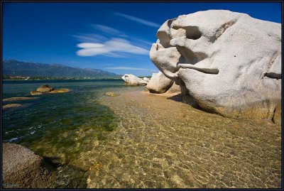 Figari