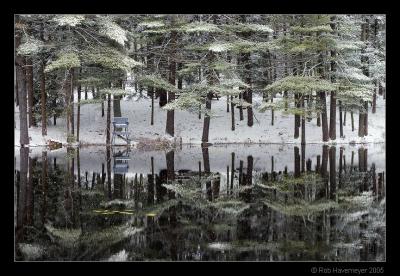 CRW_9578
