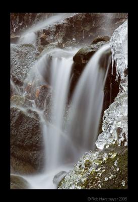 CRW_9692