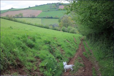 exploring the valley bottom