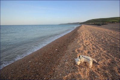 Exploring the beach