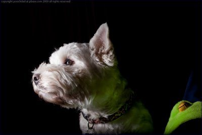 and FINALLY: what's that light, Dad?