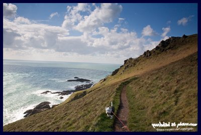 exploring the cliff path