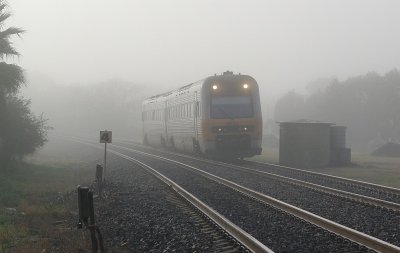 Foggy Douglas Park