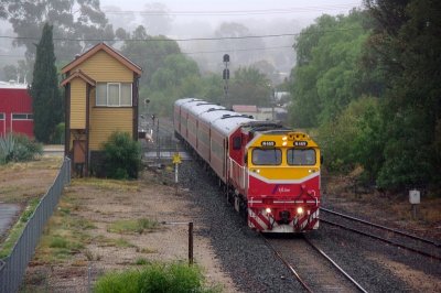 Wet Bendigo