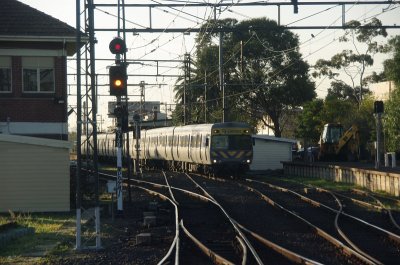 Caulfield Sunset