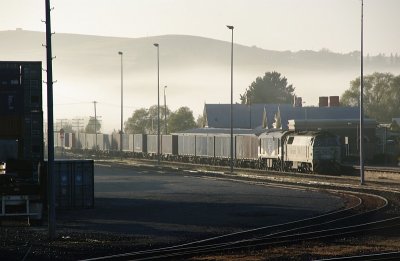 Foggy Blayney