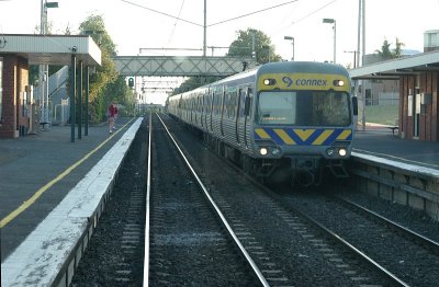 rt50.jpg