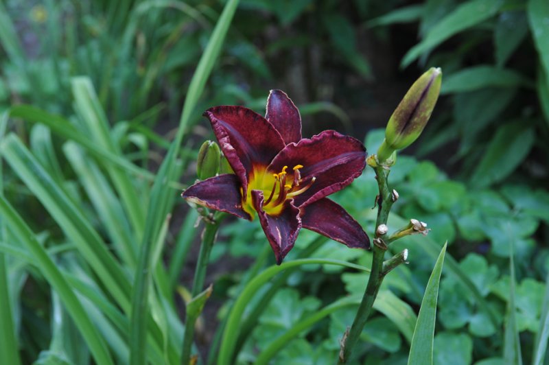 MWW_6749.jpg