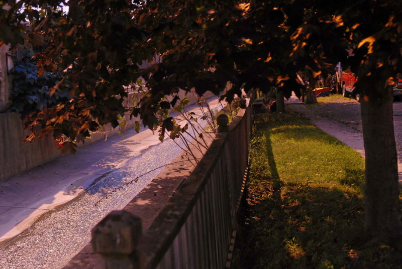 DSC_0811_DxO.jpg