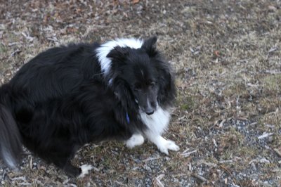DSC_2003.jpg