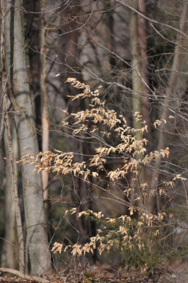 DSC_2030.jpg