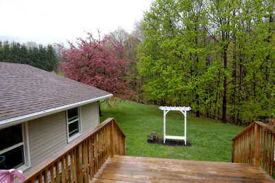 DSC_3402_DxO_RAW.jpg