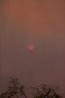 smoke-veiled sun