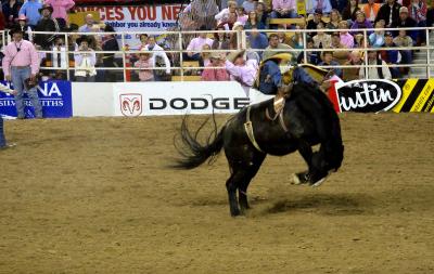 Dodge National Circuit Finals Rodeo