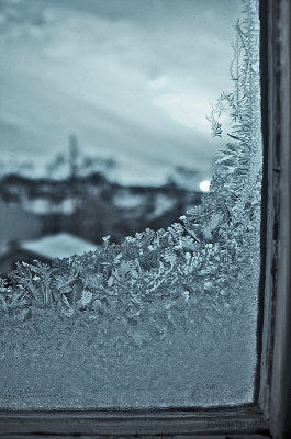 monochrome - icy window