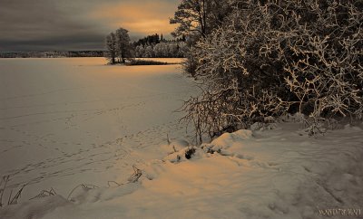 footsteps on the lake...