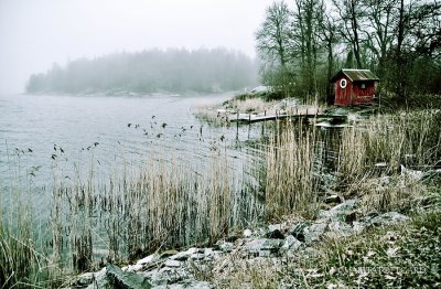 misty day in the Stockholm archipelago