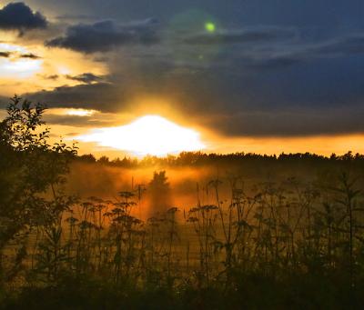 golden hour with mist, roslagen, uppland