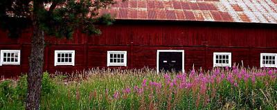 swedish red barn