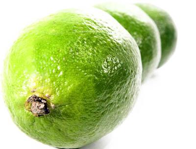 lime, citrus aurantifolia