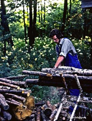 g3/36/610036/3/57681133.cchoppingwood.jpg